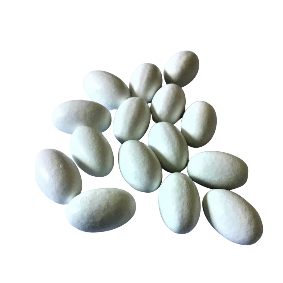 Caregyn Pearls gastro-resistant pearls